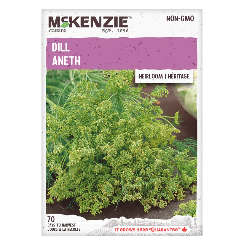 HERB SEEDS: DILL - BOUQUET