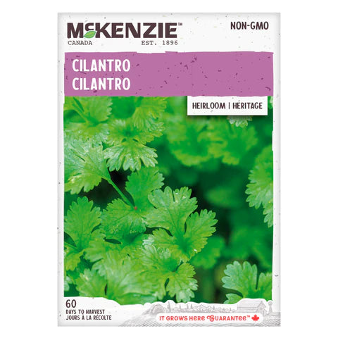 HERB SEEDS: CILANTRO