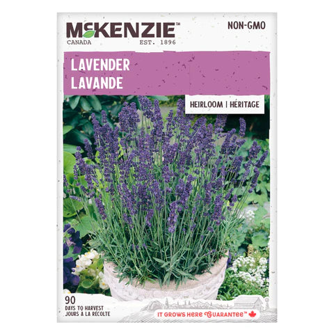 HERB SEEDS: LAVENDER