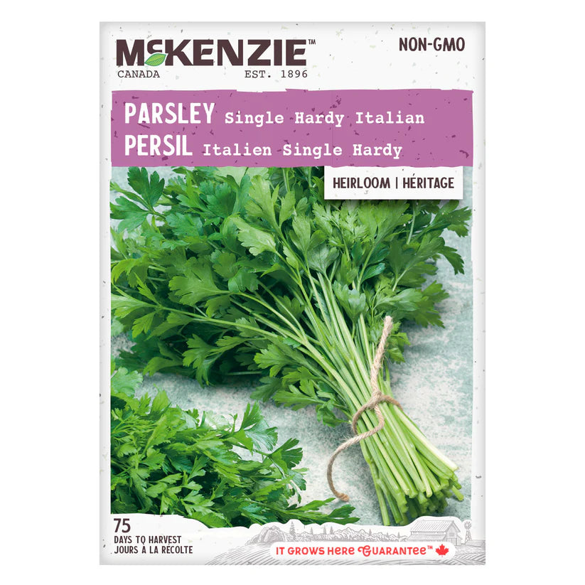 HERB SEEDS: PARSLEY - ITALIAN SINGLE HARDY