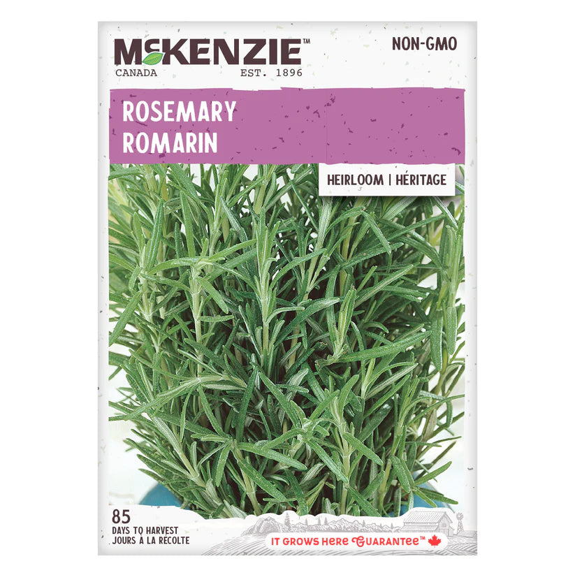 HERB SEEDS: ROSEMARY