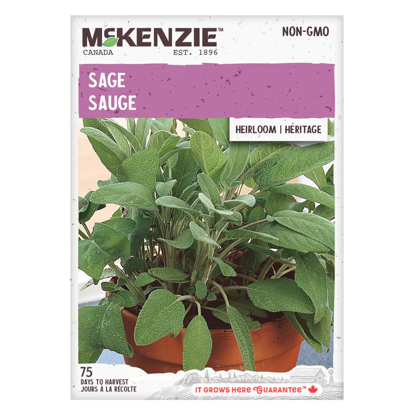 HERB SEEDS: SAGE