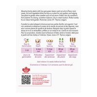 SEMENCES DE FINES HERBES: THYM