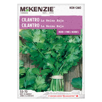 SEMENCES DE FINES HERBES: CILANTRO - LA REINA BAJA