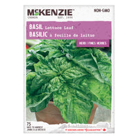 SEMENCES DE FINES HERBES: BASILIC - FEUILLES DE LAITUE