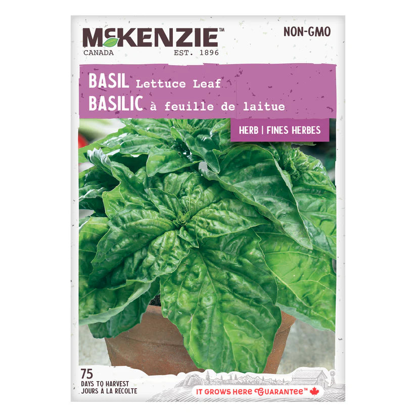 FINE HERB SEEDS: BASIL - LETTUCE LEAVES