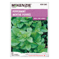 SEMENCES DE FINES HERBES: MENTHE - POIVREE