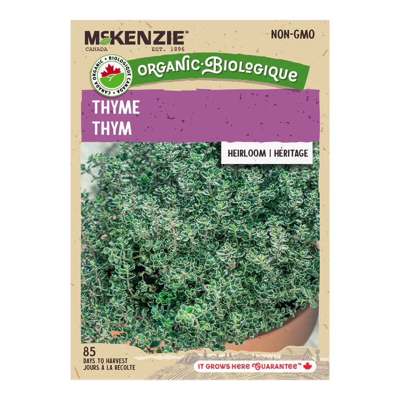 SEMENCES DE FINES HERBES BIO: THYM