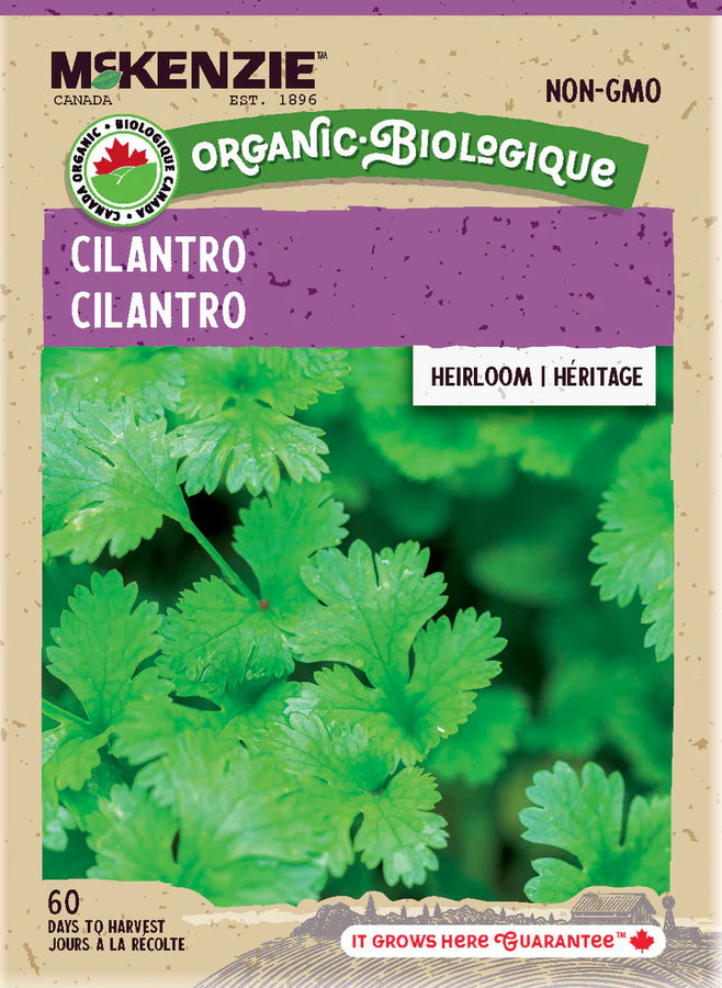 SEMENCES DE FINES HERBES BIO: CORIANDRE *CILANTRO*
