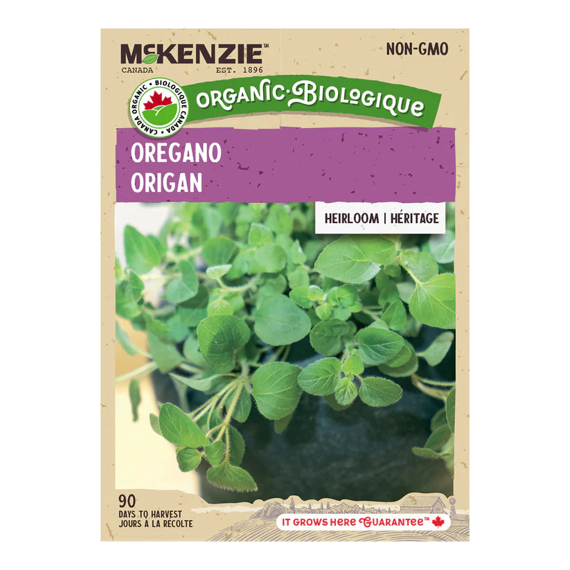 SEMENCES DE FINES HERBES BIO: ORIGAN