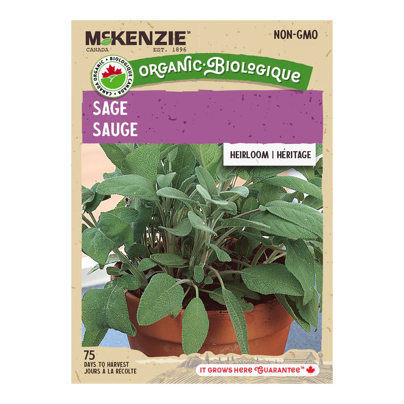 ORGANIC FINE HERB SEEDS: SAGE
