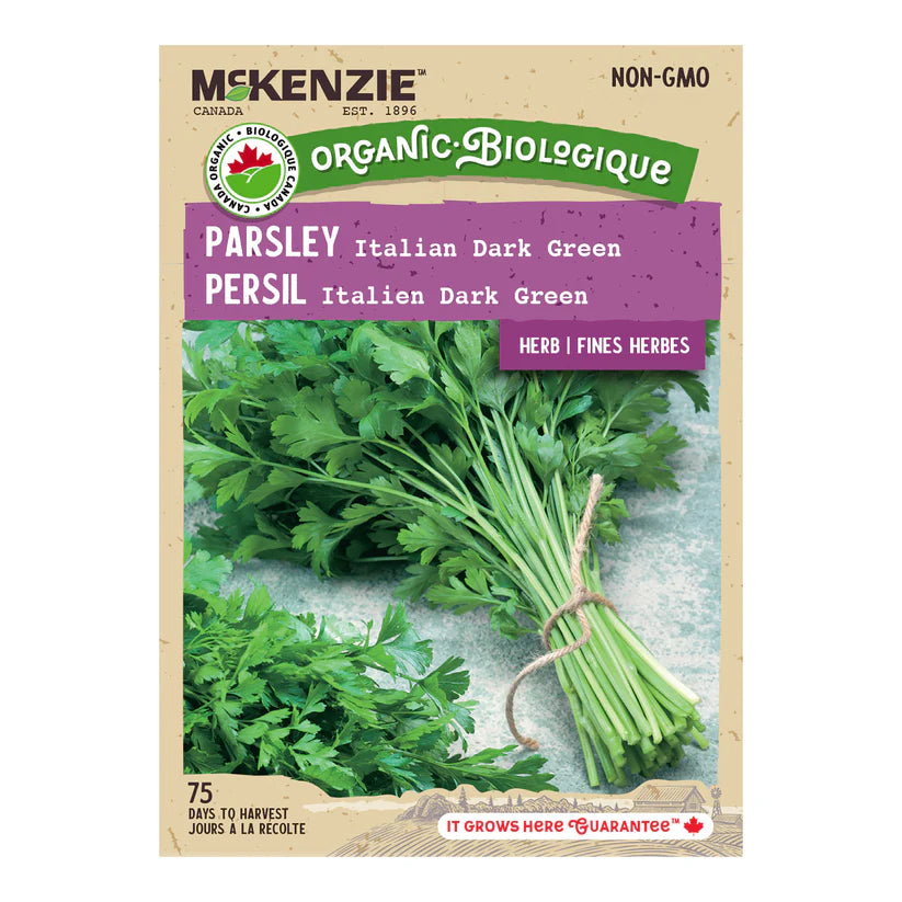 ORGANIC HERB SEED: PARSLEY - ITALIAN DARK GREEN