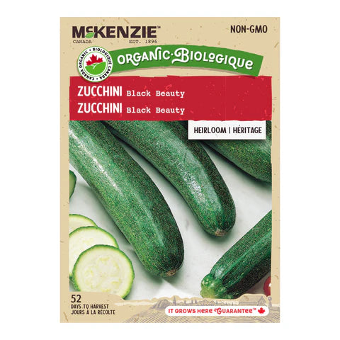 SEMENCES DE LEGUMES BIO: ZUCCHINI - BLACK BEAUTY