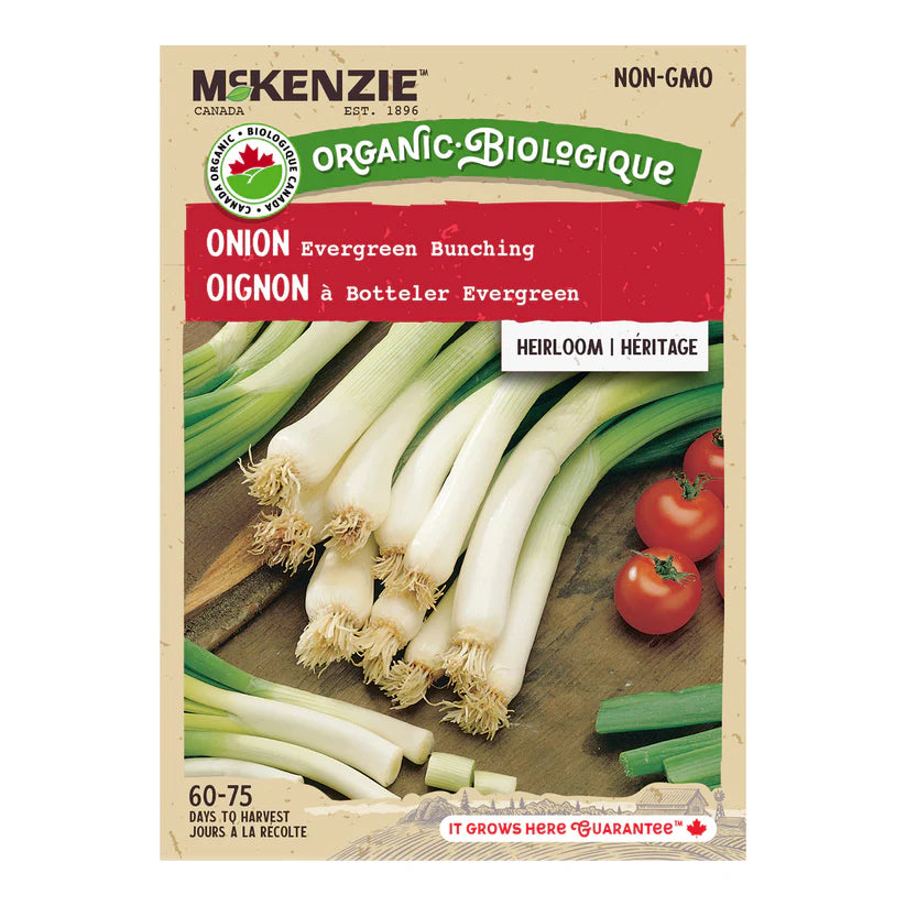 ORGANIC VEGETABLE SEEDS: ONION - EVERGREEN BUNCHING