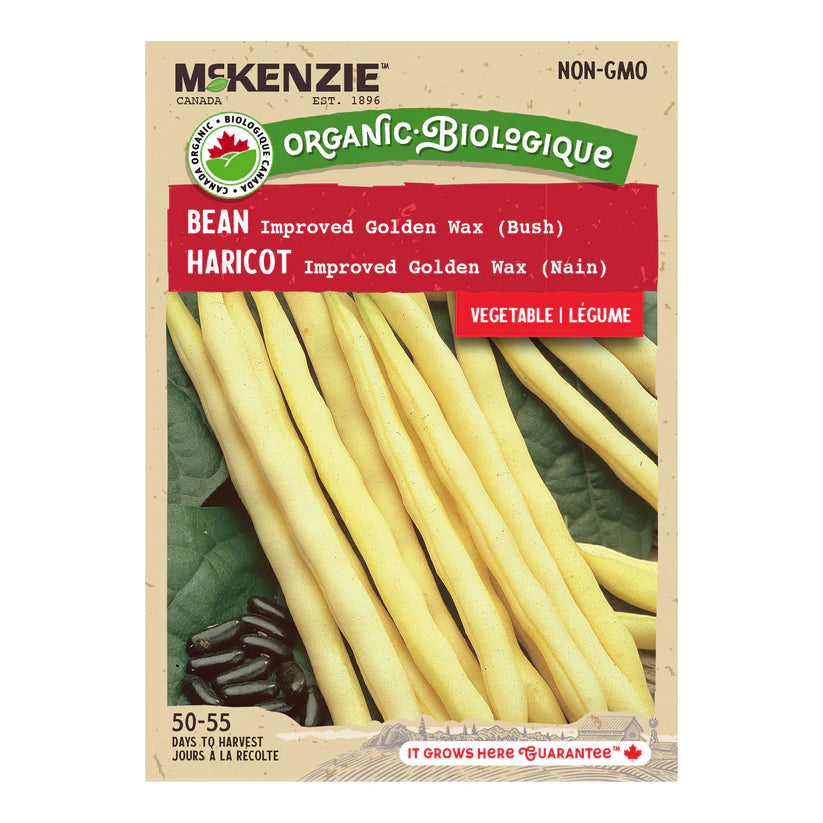 ORGANIC VEGETABLE SEEDS: ORGANIC GOLDEN WAX BEANS