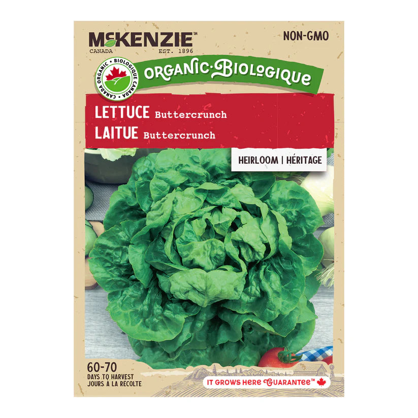 ORGANIC VEGETABLE SEEDS: LETTUCE - BUTTERCRUNCH