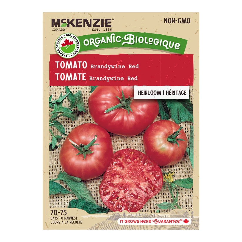 SEMENCES DE LEGUMES BIO: TOMATE - BRANDYWINE RED