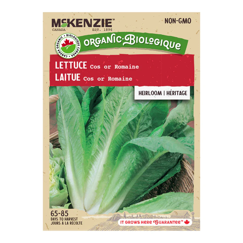 SEMENCES DE LEGUMES BIO: LAITUE - ROMAINE
