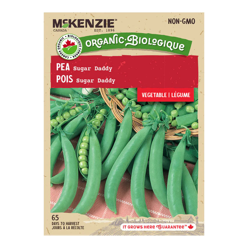 ORGANIC VEGETABLE SEEDS: PEA - SUGAR DADDY