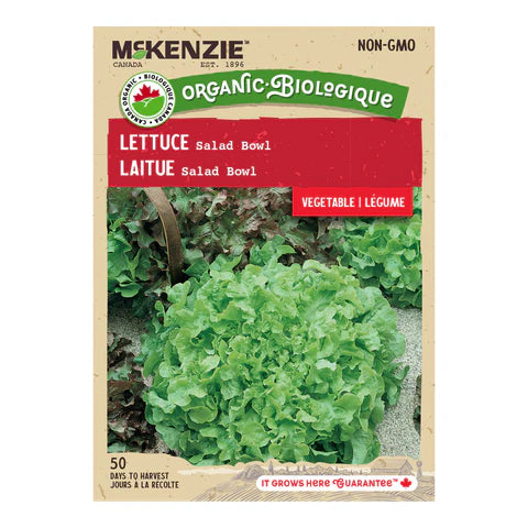 ORGANIC VEGETABLE SEEDS: LETTUCE - SALAD BOWL
