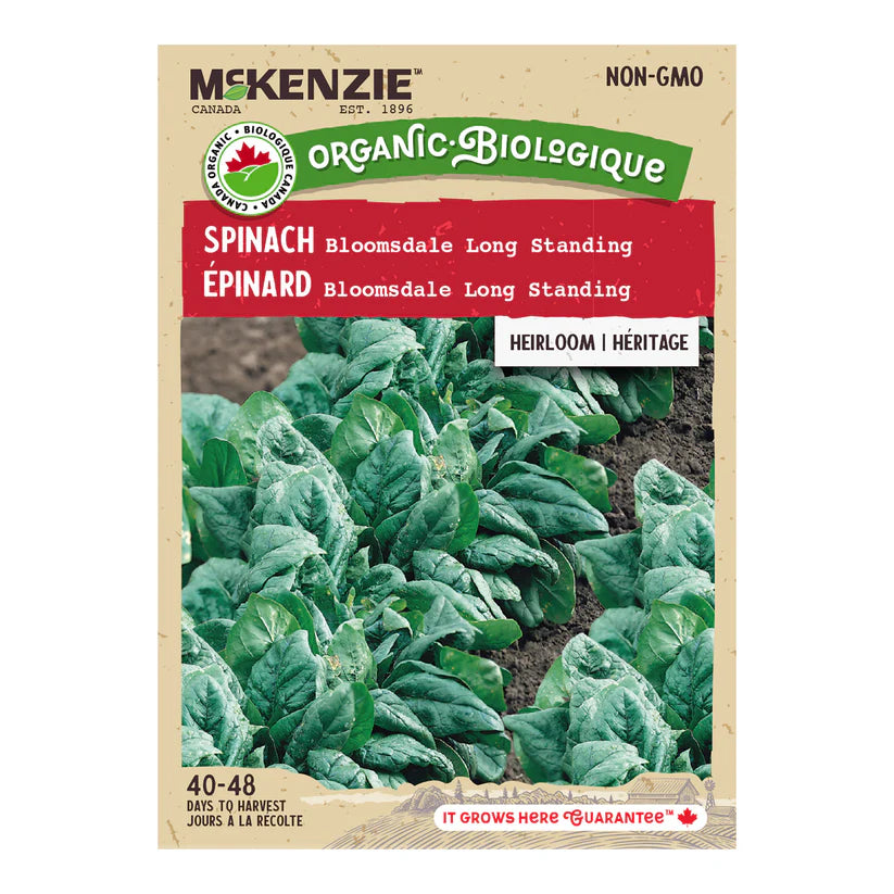 ORGANIC VEGETABLE SEEDS: SPINACH - BLOOMSDALE