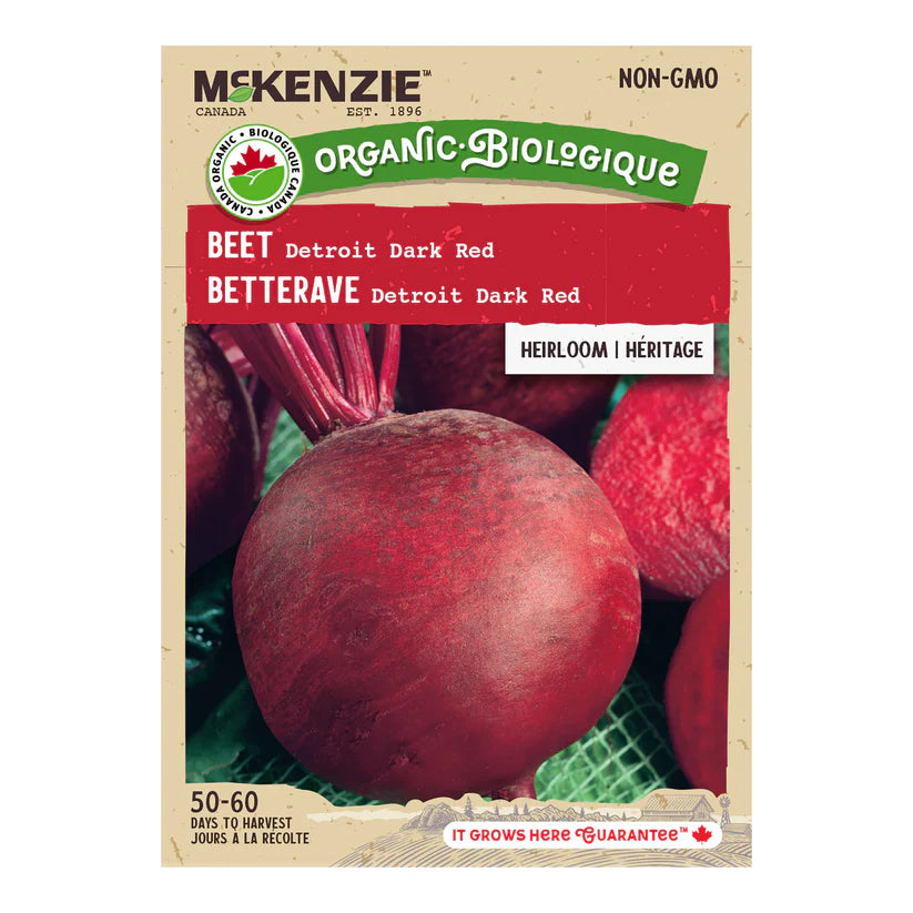 ORGANIC VEGETABLE SEEDS: BEET - DETROIT DARK RED