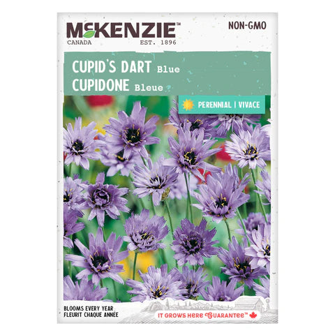 FLOWER SEEDS: CIPIDONE - BLUE