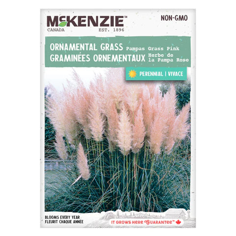 SEMENCES DE FLEURS: GRAMINEE ORNEMENTAUX - HERBES DE LA PAMPA ROSE