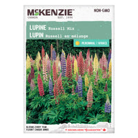 SEMENCES DE FLEURS: LUPIN - RUSSEL EN MELANGE