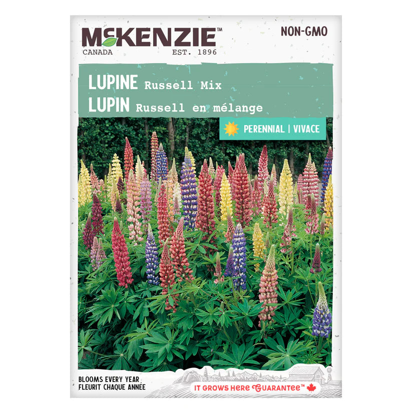 FLOWER SEEDS: LUPIN - RUSSELL MIXED