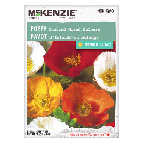 FLOWER SEEDS: ICELAND POPPY - MIXED
