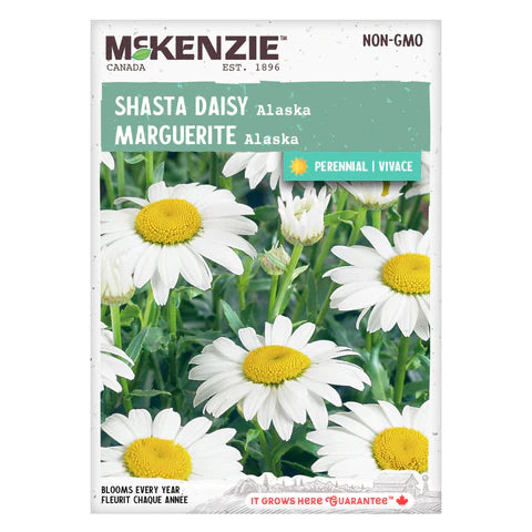 FLOWER SEEDS: DAISY - ALASKA