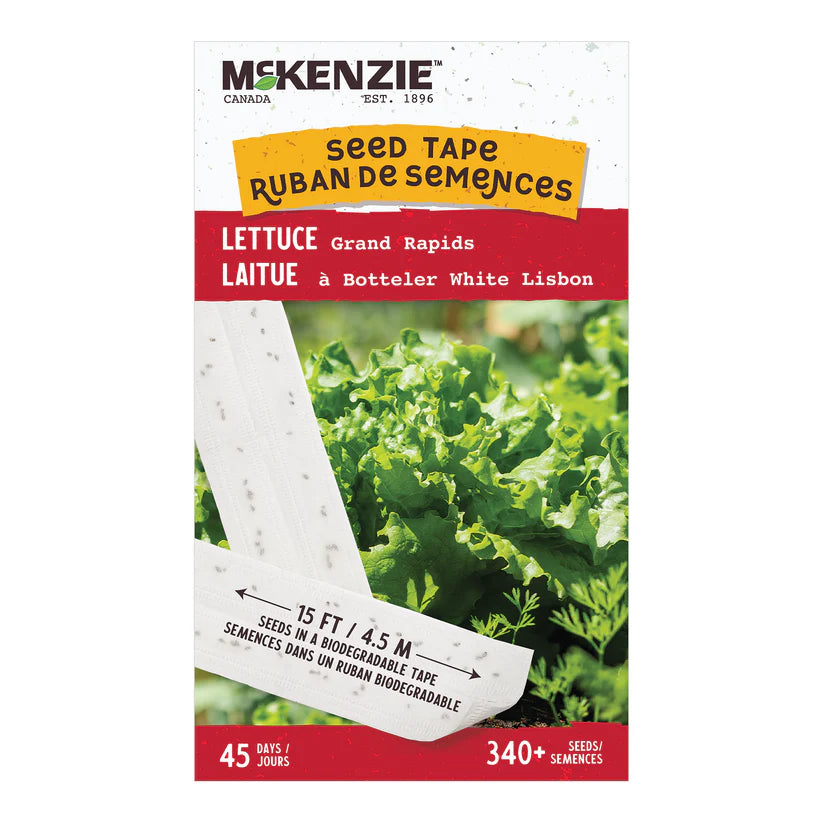 VEGETABLE SEEDS: LETTUCE - GRAND RAPIDS ON A TAPE