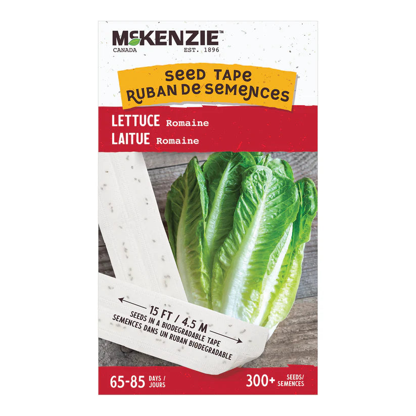 VEGETABLE SEEDS: LETTUCE - ROMAINE IN RIBBON