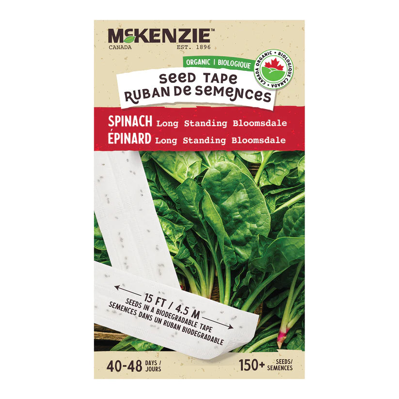 SEMENCES DE LEGUMES BIO: ÉPINARD - LONG STANDING BLOOMSDALE EN RUBAN