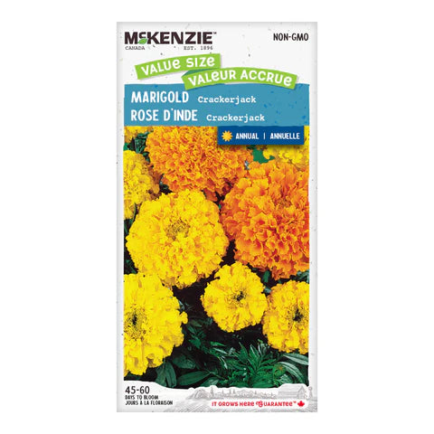 FLOWER SEEDS: MARIGOLD *FRENCH MARIGOLD* CRACKERJACK