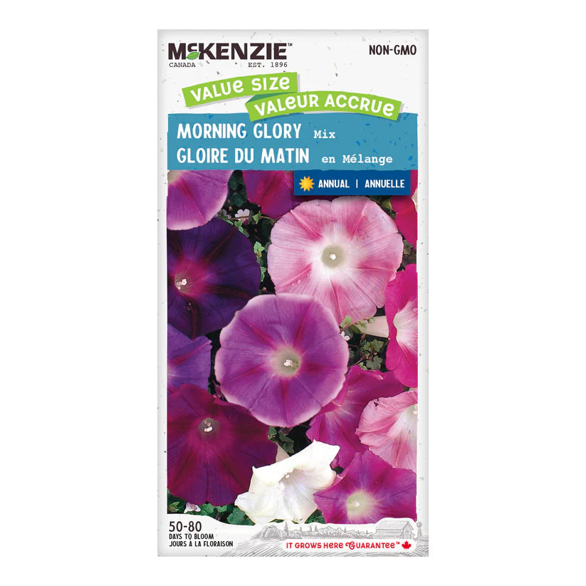 FLOWER SEEDS: MORNING GLORY MIX