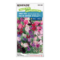 SEMENCES DE FLEURS: POIS DE SENTEUR MELANGE SPENCER GIANT