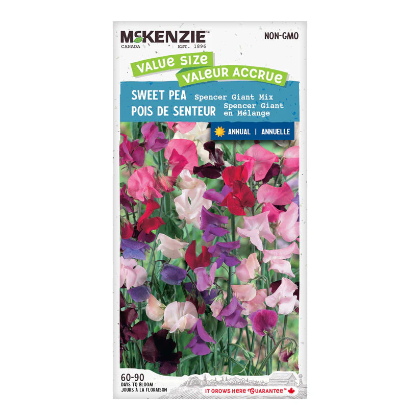 FLOWER SEEDS: SWEET PEA SPENCER GIANT MIX