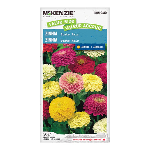 FLOWER SEEDS: ZINNIA - TETRA FLOWERED