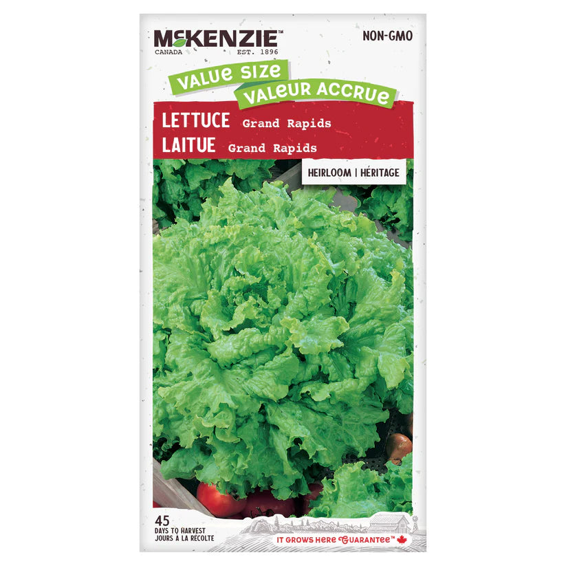 VEGETABLE SEEDS: LETTUCE - GRAND RAPIDS