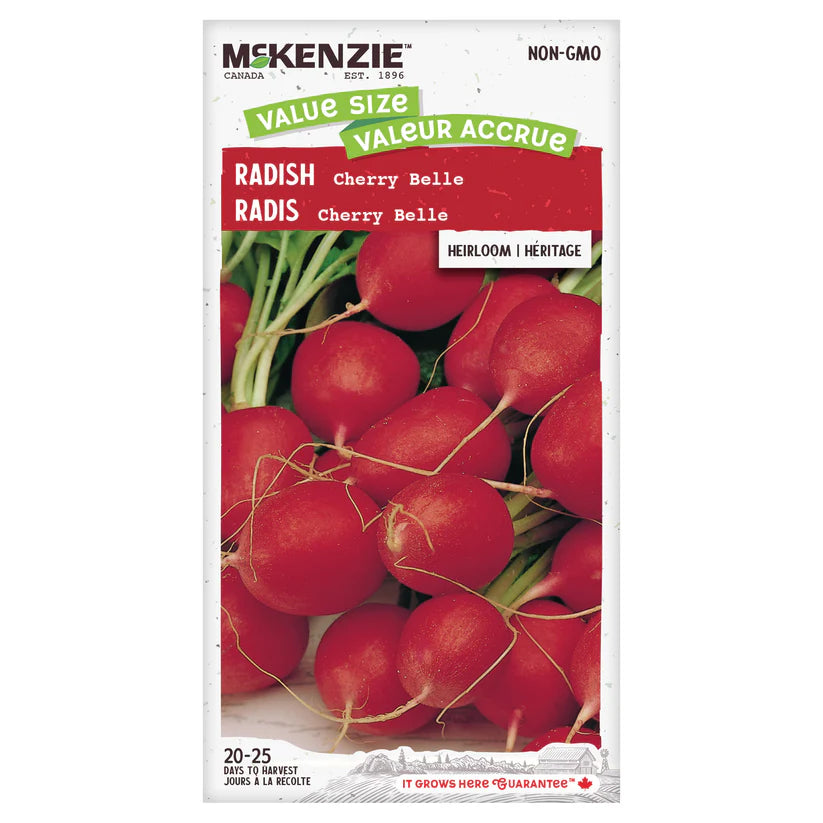 VEGETABLE SEEDS: RADISH - CHERRY BELLE