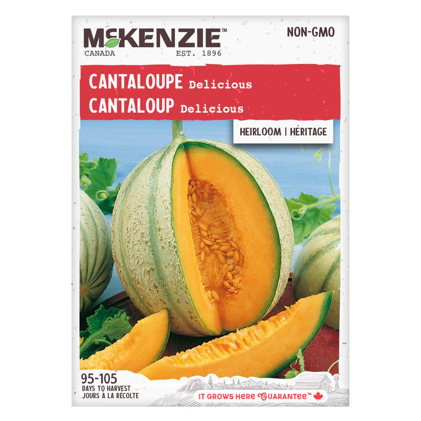 SEMENCES DE FRUITS: CANTALOUPE - DELICIOUS