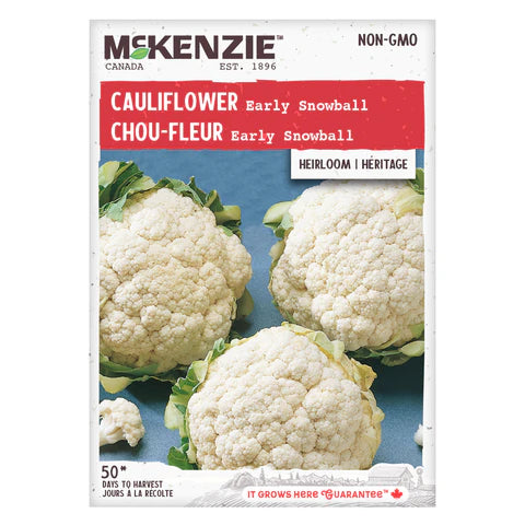 VEGETABLE SEEDS: CAULIFLOWER - EARLY SNOWBALL