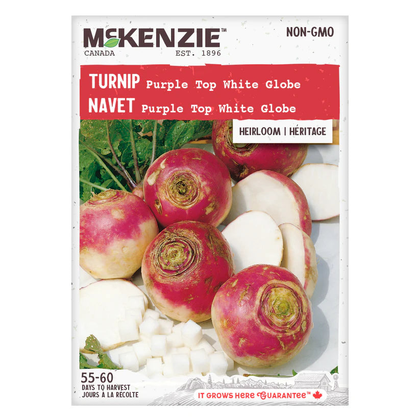 VEGETABLE SEEDS: TURNIP - PURPLE TOP WHITE GLOBE