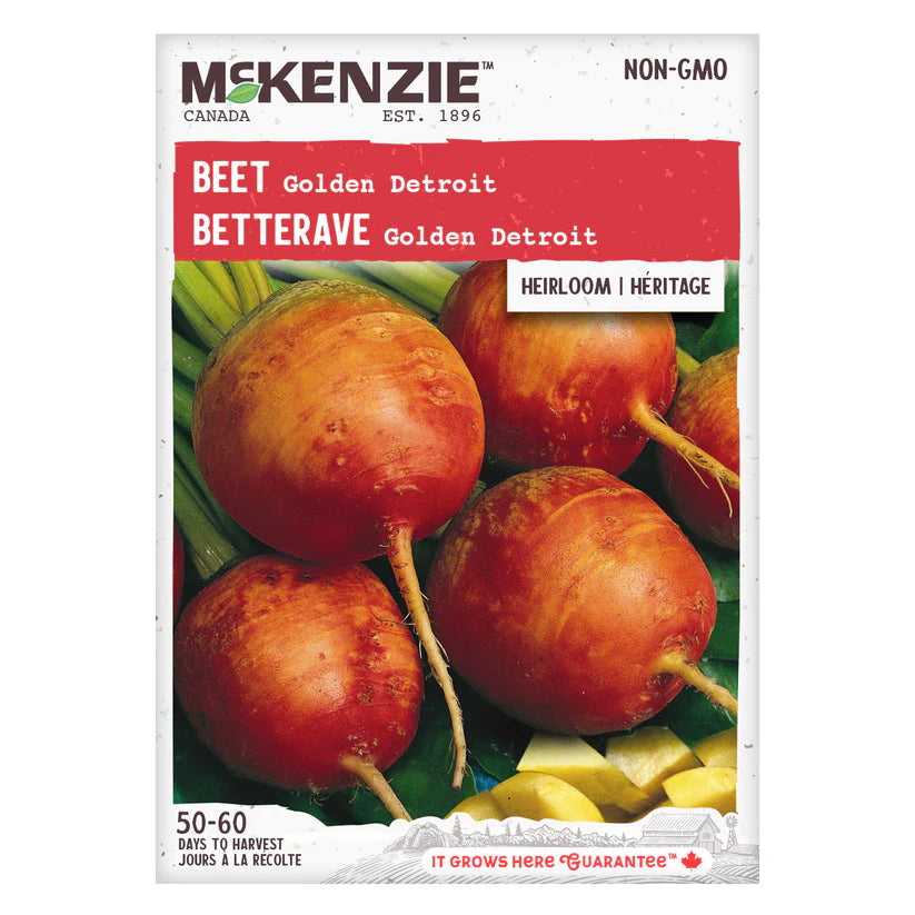VEGETABLE SEEDS: BEETROOT - GOLDEN DETROIT