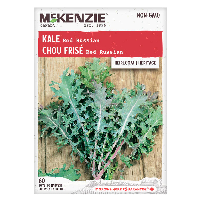VEGETABLE SEEDS: KALE - RED RUSSIAN