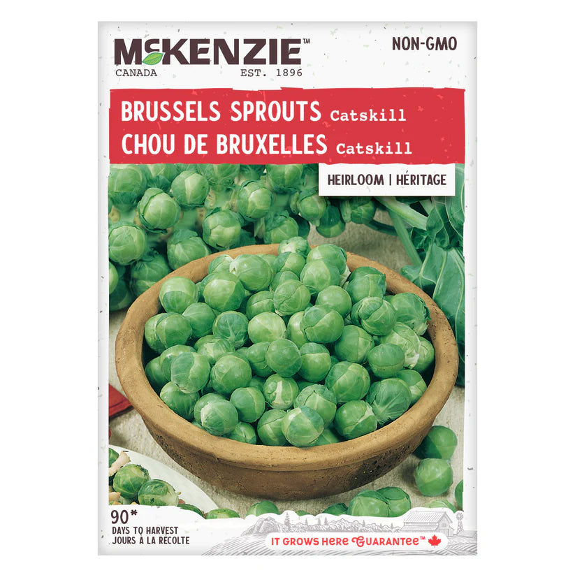VEGETABLE SEEDS: BRUSSELS SPROUTS - CATSKILL