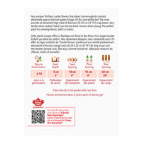 SEMENCES DE LEGUMES: HARICOT - SCARLET RUNNER (RAMES)