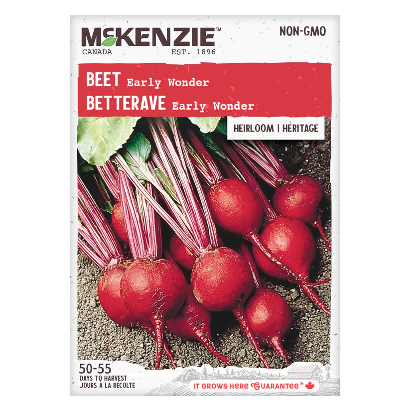 VEGETABLE SEEDS: BEET - EARLY WONDER